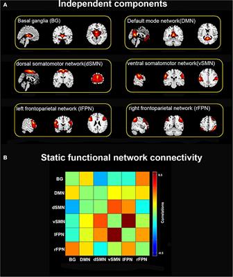 Altered Brain Functional Network in Subtypes of Parkinson's Disease: A Dynamic Perspective